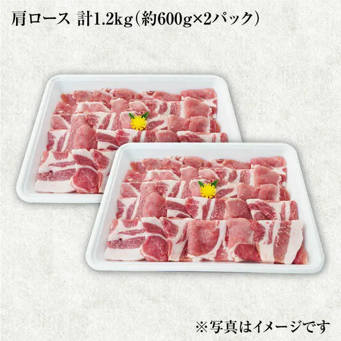 3回定期便 大西海SPF豚 肩ロース 焼肉 計1.2kg 訳あり ＜大西海ファーム＞CEK090 焼肉