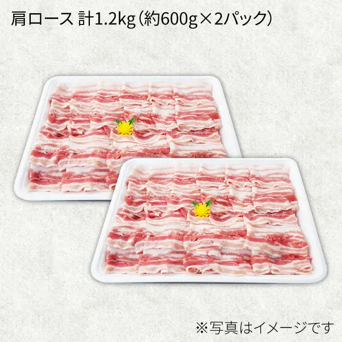 6回定期便 大西海SPF豚 肩ロース しゃぶしゃぶ 計1.2kg 訳あり ＜大西海ファーム＞ [CEK093] しゃぶしゃぶ