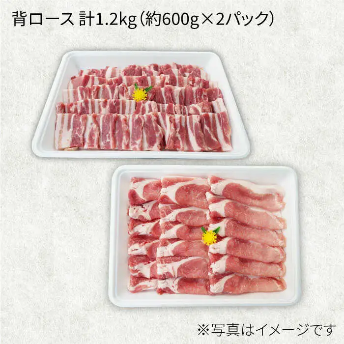 【6回定期便】大西海SPF豚 背ロース（焼肉＆しゃぶしゃぶ用）計1.2kg 訳あり ＜大西海ファーム＞ [CEK098]