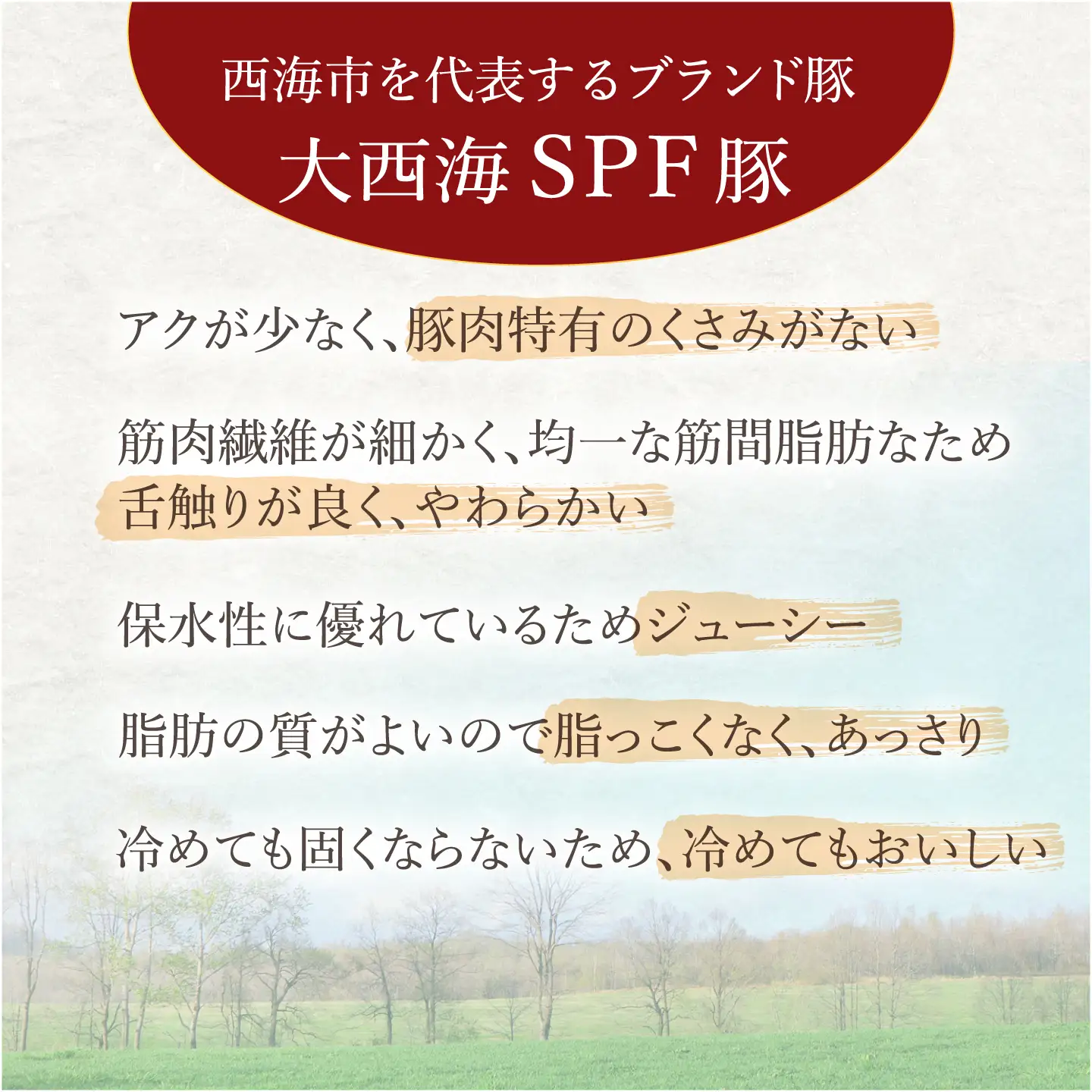 12回定期便 大西海SPF豚 背ロースブロック 計1.3kg 訳あり ＜大西海ファーム [CEK117] 豚肉ブロック 豚肉