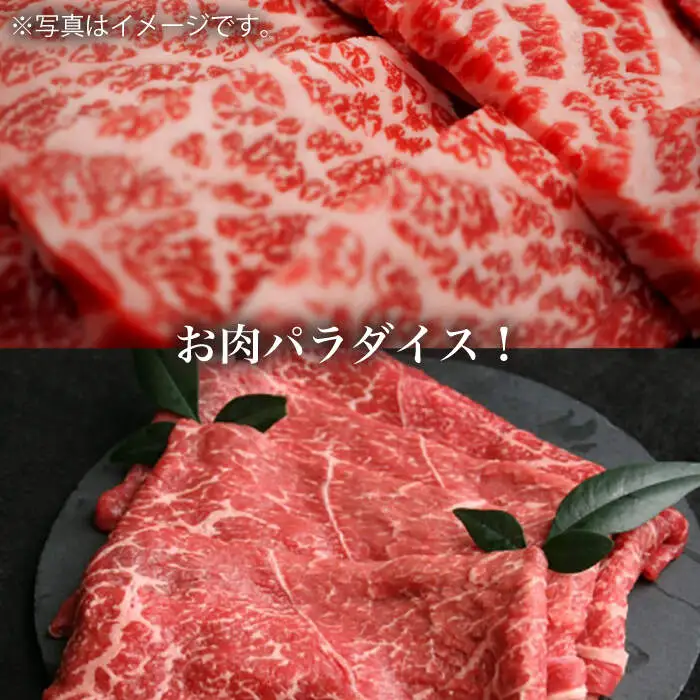【12回定期便】【訳あり】長崎和牛 ロース食べ比べ 約1000g（焼き肉用、すき焼き・しゃぶしゃぶ用各約500gずつ）×12回定期便＜大西海ファーム＞ [CEK158]