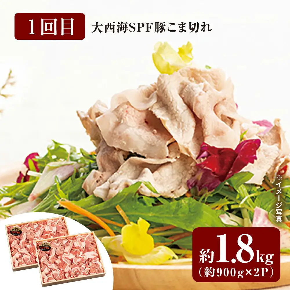 【スタメン揃い！】【6回定期便】 長崎和牛 大西海SPF豚 定期便  訳あり ＜大西海ファーム＞ [CEK185]