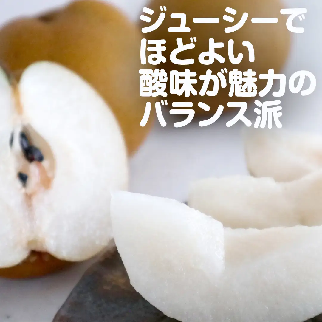 梨 豊水 約5kg 【2026年9月より発送開始】（茨城県共通返礼品 [梨]：大子町産）