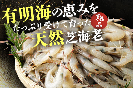 《受付再開》冷凍えびセット(芝えび1kg・むき甘えび20尾×2） B-421