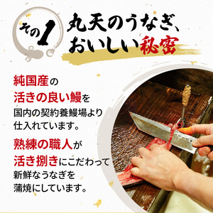国産 120g 蒲焼 うなぎ 2尾 うなぎ