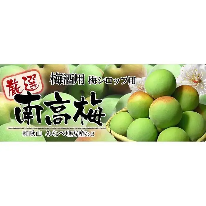南高梅【緑】3kg 大サイズ 梅酒用 フレッシュ青梅 (生梅) ／紀伊国屋文左衛門本舗