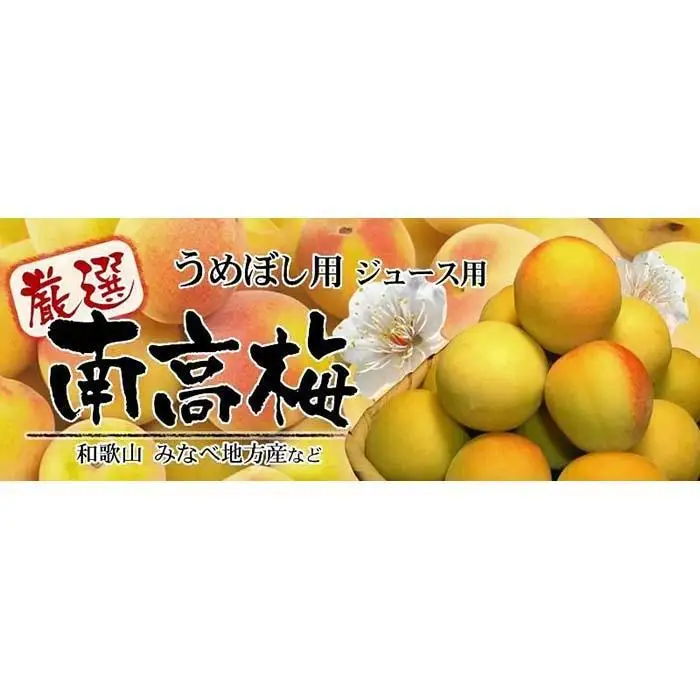 南高梅【完熟】黄色3kg ■特大サイズ 梅干用フレッシュ青梅 (生梅) ／紀伊国屋文左衛門本舗