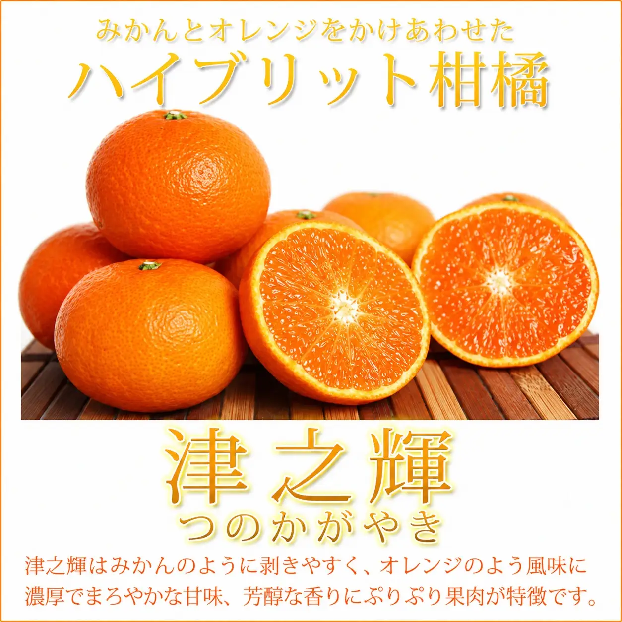 津之輝(つのかがやき)　約5kg【予約】※2027年1月下旬頃～2027年2月上旬頃に順次発送予定(お届け日指定不可) 【uot761】