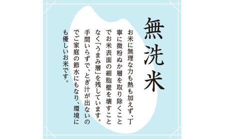 雪室貯蔵 魚沼産コシヒカリ無洗米10kg 全12回 お米 ライス ご飯 ブランド米 銘柄米 お弁当 おにぎり 直送 主食 炭水化物 新潟県産 新鮮なおいしさ 手軽 便利 時短 