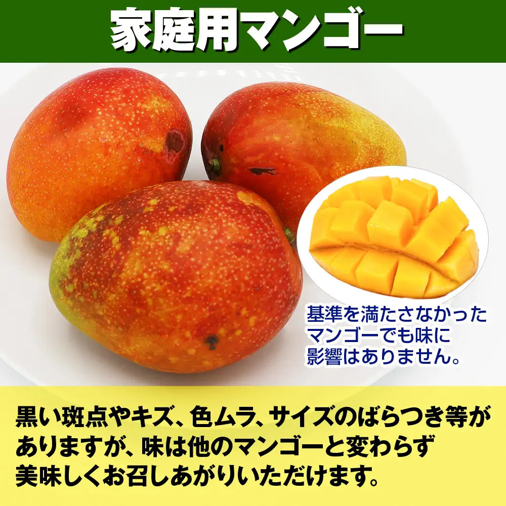 【2027年発送】濃厚なアーウィンマンゴー1.5kg 家庭用