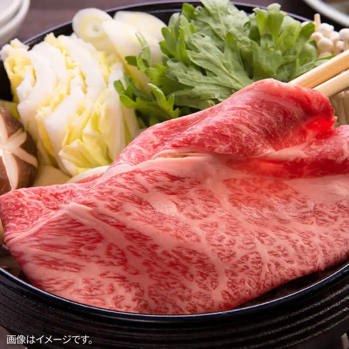 【6回定期便】長崎県産 和牛 肩ロース スライス 500g / 南島原市 / 高田牧場 [SDB009]
