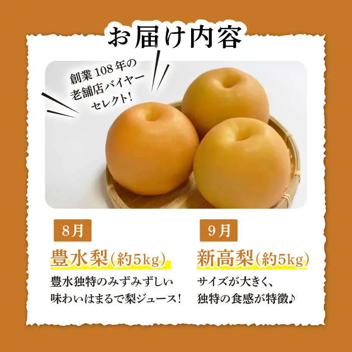 【2026年8月-発送】【2回定期便】南島原市産！梨 食べ比べ / 梨 なし ナシ 果物 フルーツ 豊水梨 新高梨 / 南島原市 / ながいけ [SCH046] 