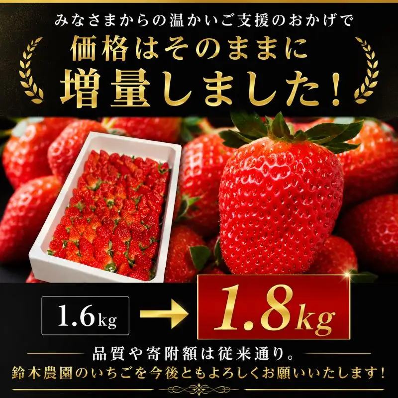 【先行予約】完熟 いちご きらぴ香 1.8kg 【いちご】訳あり 鈴木農園