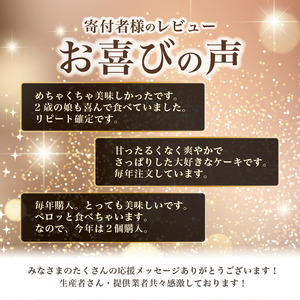 ケーキ 4号 「お誕生日用」山ぶどうWチーズケーキ