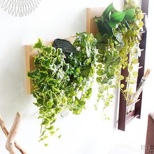 Botanical c.class 09　北欧チーク