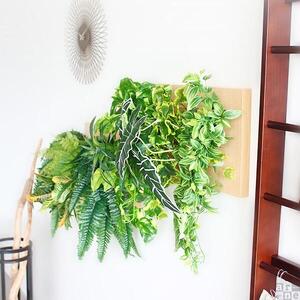 Botanical c.class 10　ナチュラル