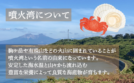 【地元現役漁師が厳選!!】 鍋に最適 あんこうの切り身 約1kg 北海道 豊浦 噴火湾 あんこう鍋 
