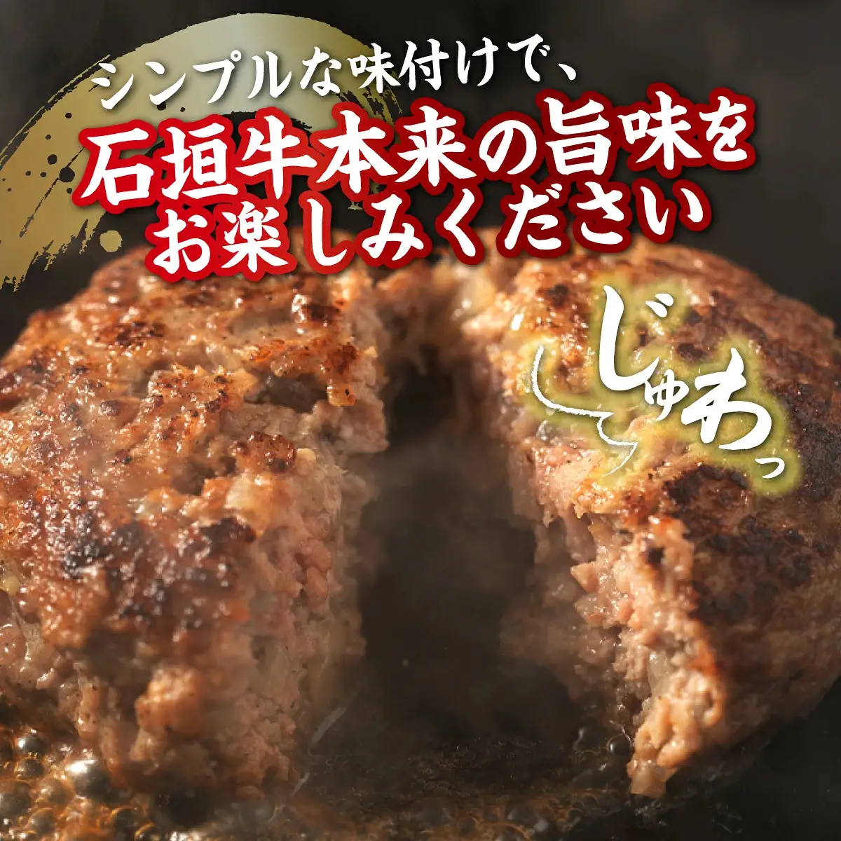 石垣牛 ハンバーグ セット (100g×10個)＜2026年10月発送＞