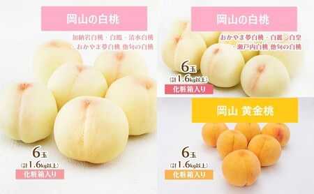 桃 定期便 2027年 先行予約 岡山 の 桃 食べ比べ 3回コース もも モモ 岡山県産 国産 フルーツ 果物 ギフト 