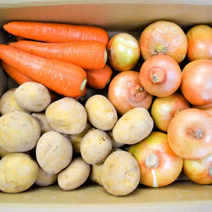 【2026年12月下旬-発送】【冬限定！】旬の定番野菜セット 3種 約5kg / じゃがいも ジャガイモ 玉ねぎ 人参 たまねぎ タマネギ にんじん 旬野菜 詰め合わせ / 南島原市 / 長崎県農産品流通合同会社 [SCB059]