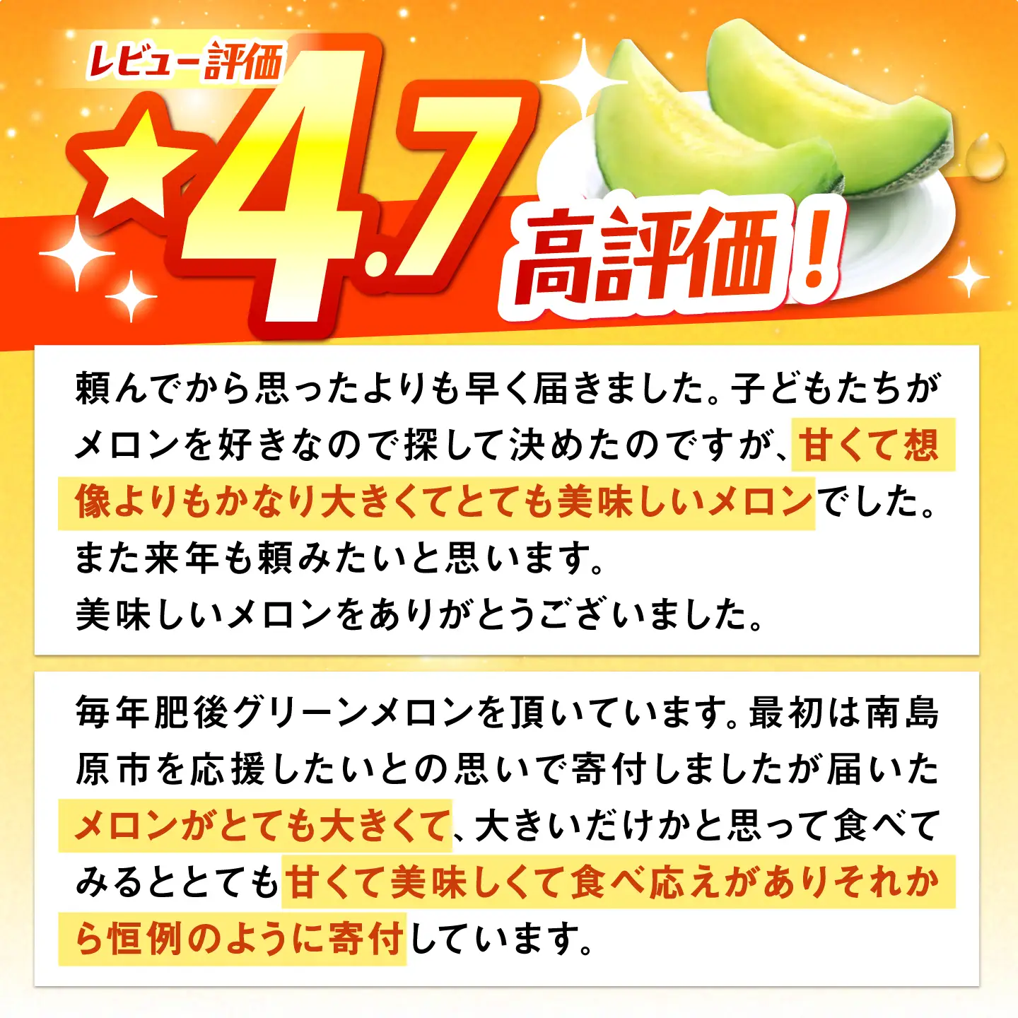 【2026年6月中旬-発送】肥後グリーンメロン 2玉 SCB063 メロン