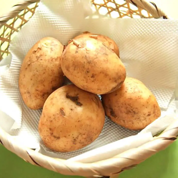 【2027年5月下旬-発送】春の万能 野菜セット 約5kg [SCB064] 野菜