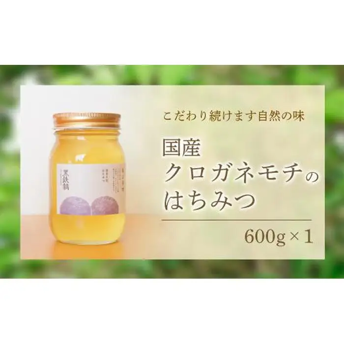 養蜂研究所が提供する「(井上養蜂) 国産 クロガネモチのはちみつ」すっきり上品な蜂蜜