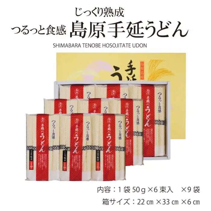 【モチモチでつるっと食感！細うどんが最高！】 こだわりの麺匠が創る 島原 手延 細うどん 9袋 (54束・2.7キロ) / 島原手延べ うどん ウドン 饂飩 麺 / 南島原市 / ふるさと企画 [SBA028]