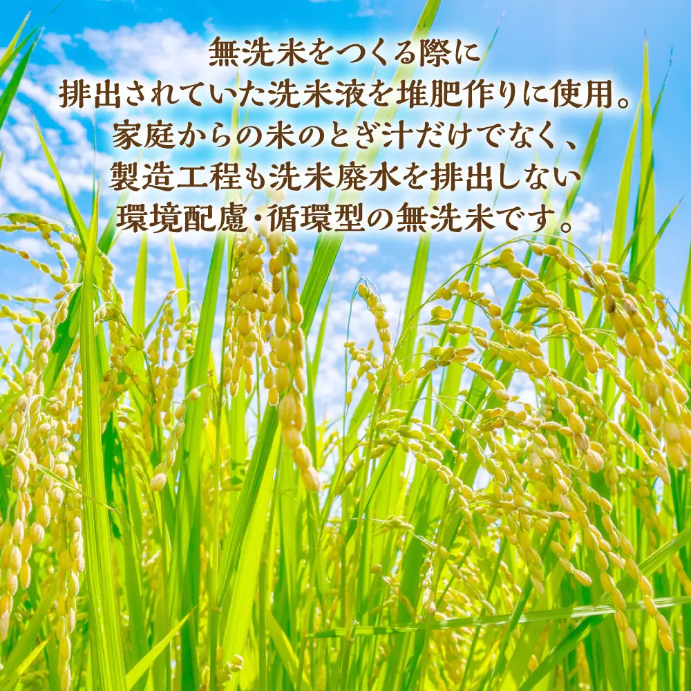 精米 《令和7年産》 洗わんでよかばい 5kg 精米 