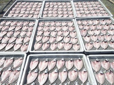 【5回定期便】岡本水産加工のちりめんじゃこ2種と干物2種セット　【J00029】