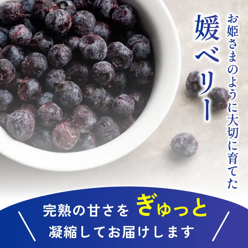 森のともだち農園　冷凍ブルーベリー（スタンディングパック）１５０ｇ×３パック