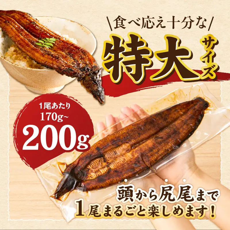 うなぎの蒲焼 2尾セット（特大サイズ 一尾 170g～200g）_うなぎ 蒲焼 2尾 セット 特大サイズ 一尾170g～200g たれ付き 鰻専門問屋 樋口商店 鹿児島 宮崎 国産 ジャポニカ種 真空パック ギフト お取り寄せ グルメ うな丼 うな重 ひつまぶし お土産 手土産 贈り物 プレゼント お中元 職人 送料無料 〔Cu001〕