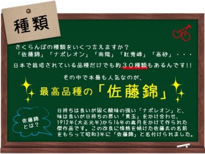 ★母の日★山形さくらんぼ 佐藤錦 特秀品 L 300g 手詰 化粧箱 メッセージ付(5/3～5/9着) 【令和9年産先行予約】FS26-615