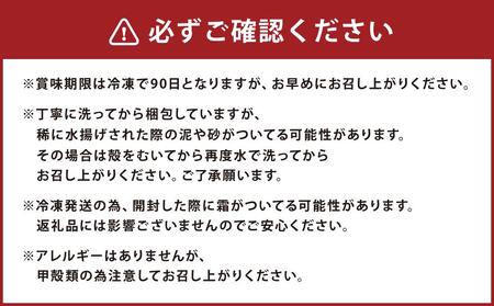《訳あり》北海道小樽産 漁師直送 浜茹で秋シャコ(冷凍) オス・メス 各500g (各12匹～) [M・Lサイズ不揃い・傷あり・規格外] 【2026年12月下旬発送予定】