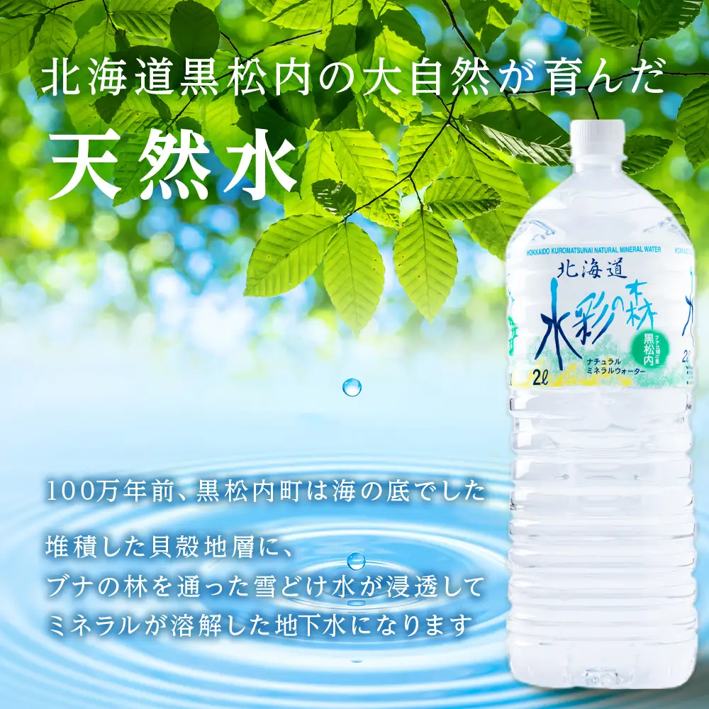 【定期便 6カ月】黒松内銘水 水彩の森 2L×24本（4箱）