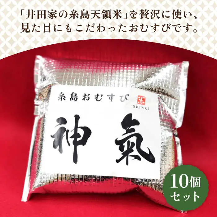 【玄米】冷凍 おむすび 10個（10種×各1個）  セット 糸島市 / 糸島おむすび 神氣 [ANL003]