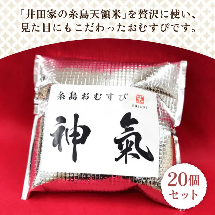 【玄米】冷凍 おむすび 20個（10種×各2個）  セット 糸島市 / 糸島おむすび 神氣[ANL004]