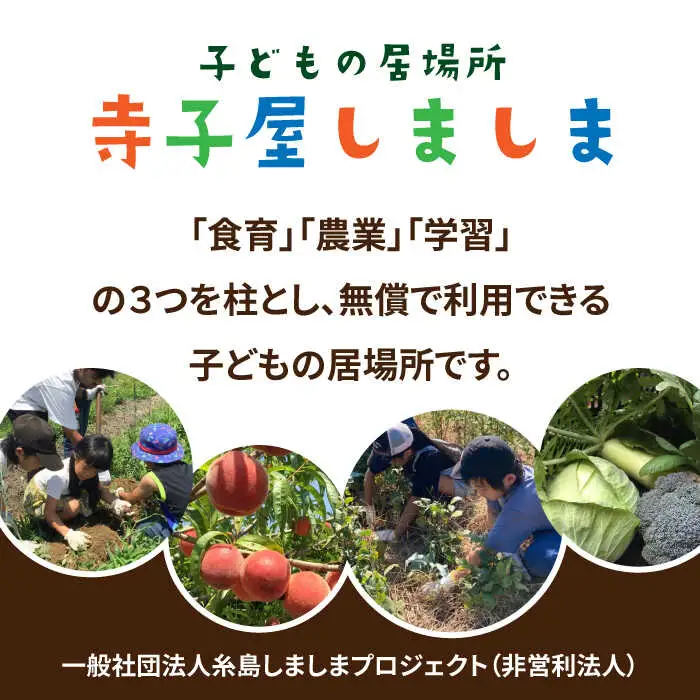 【ふるさと納税】糸島で農業体験(2名) 栽培期間中農薬不使用 無化学肥料 無除草剤の畑で野菜のお世話体験！ [AAL002]