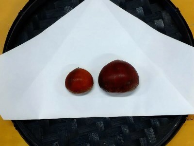 【数量限定】さぬき山都の低温熟成完熟栗(生栗)4Lサイズ 約2kg