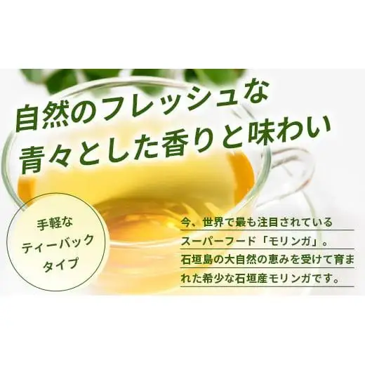  モリンガ茶（ティーパック）MR-1-1