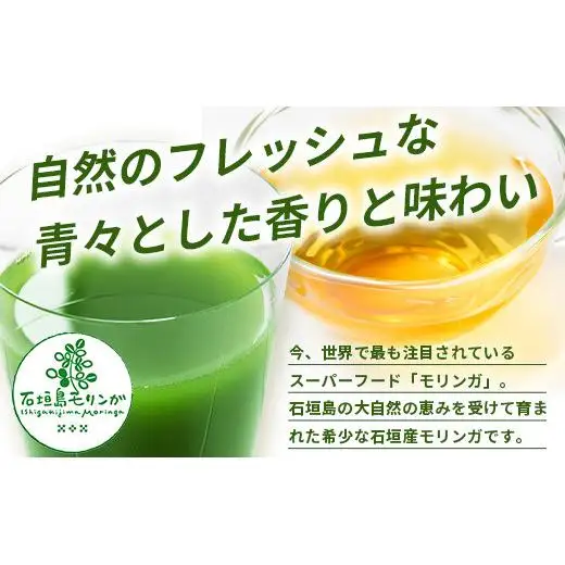モリンガ２点セット１ MR-5-1