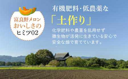 【2026年夏発送】※訳あり 富良野 メロン 約8kg〈3玉～8玉入り〉メロン