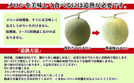 【数量限定！】北海道 富良野メロン 2Lサイズ 2玉 計3kg以上 メロン フルーツ 果物