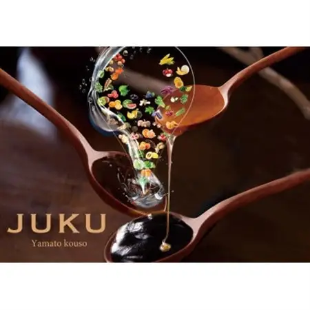 大和酵素の植物発酵ペースト 熟 -JUKU- 国産黄金生姜＆ジャラハニー 1袋(3g×31包)【1365045】