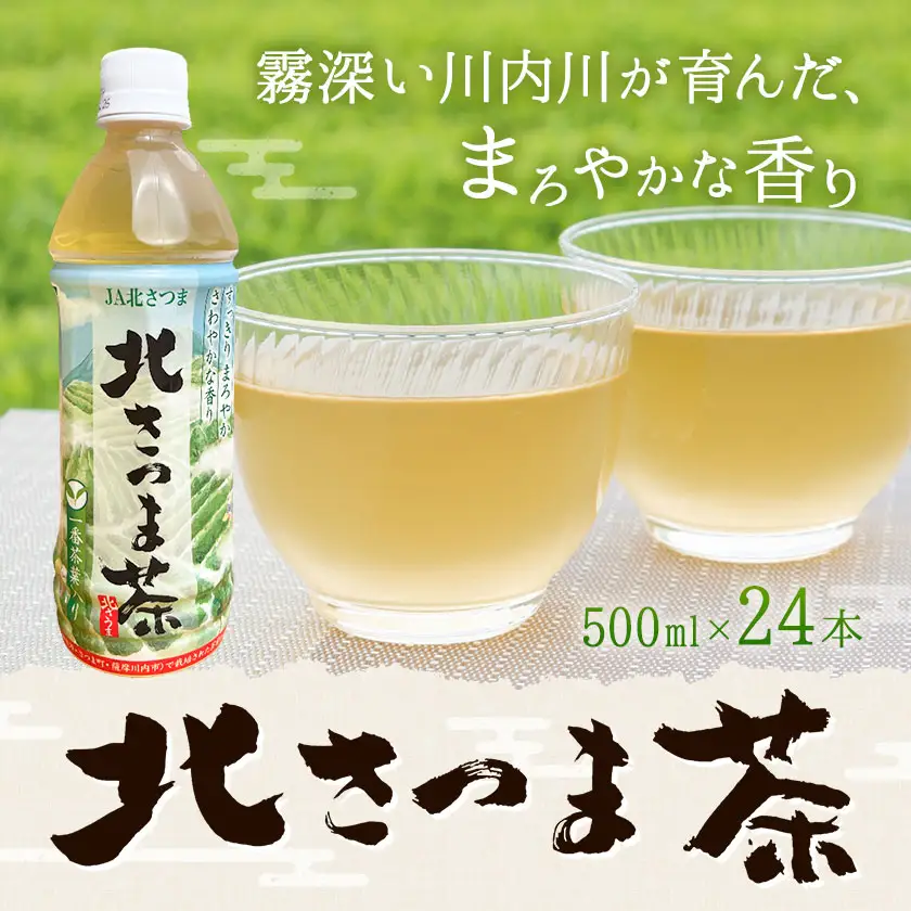 北さつま茶 500ml×24本 北さつま農協《30日以内に出荷予定(土日祝除く)》