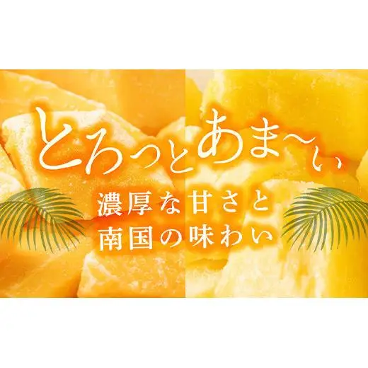 YK-7 當銘さんの完熟カットパイン３袋＆石垣産カットマンゴー２袋（計：１．２５ｋｇ）パイナップル マンゴー