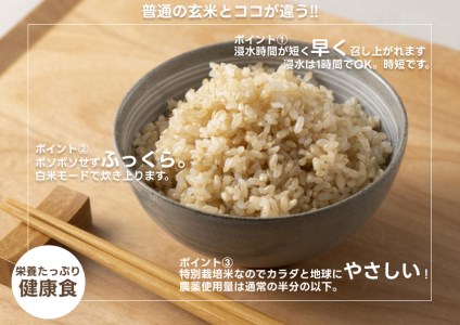 【令和8年産新米】米杜氏 特別栽培米 ふっくら玄米食 ２kg 1H11005