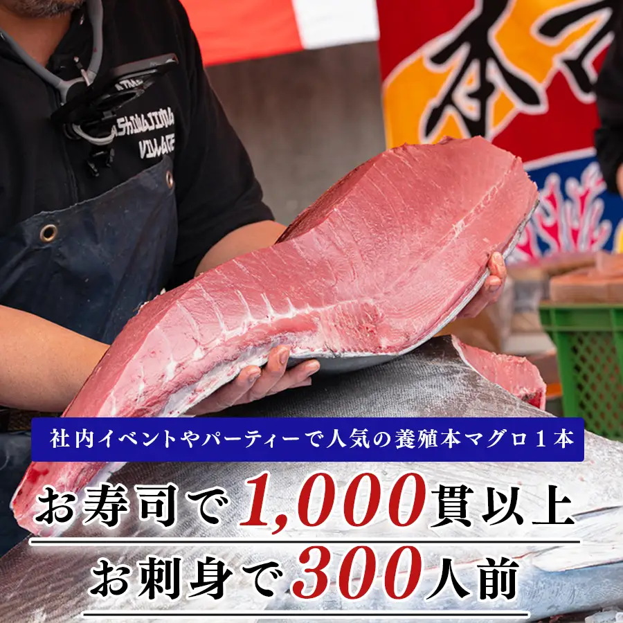 特大 国産 養殖 本マグロ 50kg以上 一本丸ごと 本まぐろ 丸ごと1本 解体ショー イベント