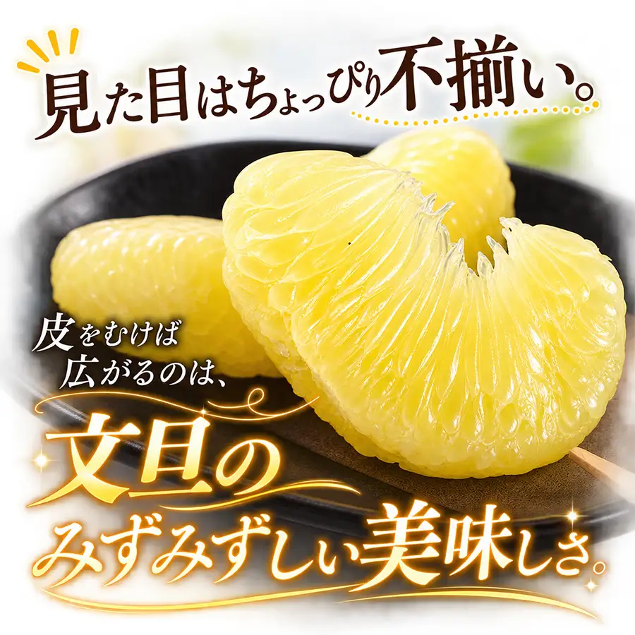 【家庭用大満足の10kg！】温暖な気候が育んだ土佐文旦