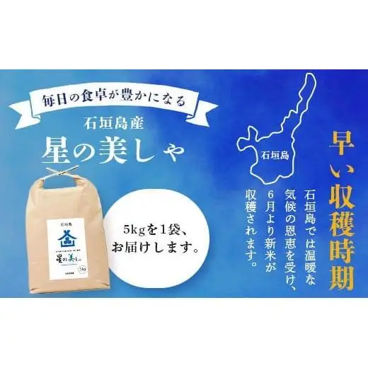 石垣島産 星の美(かい)しゃ 5kg みやぎ米屋　MK-3 